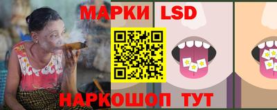 тгк Можга