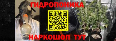 тгк Можга