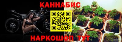 тгк Можга