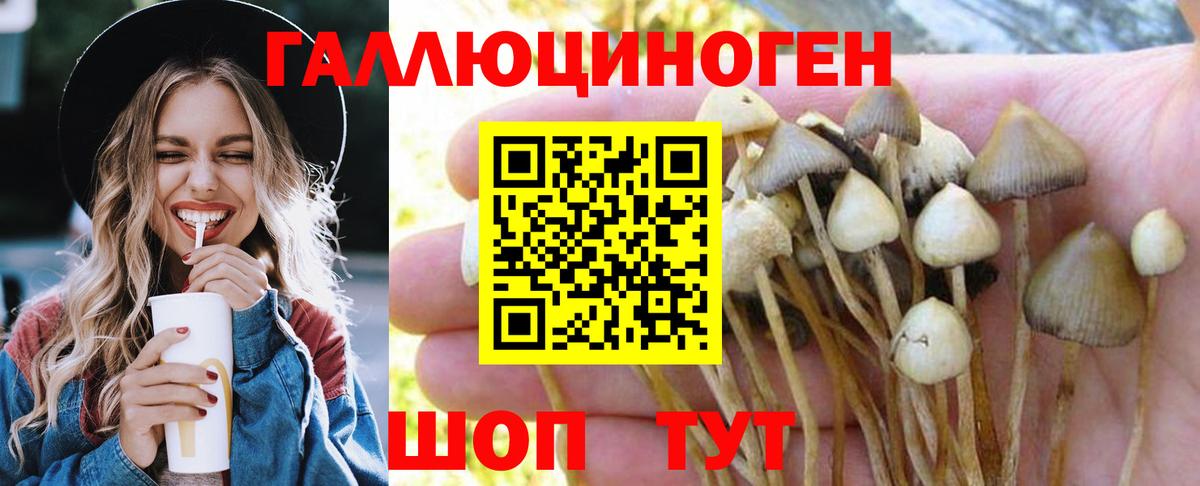 где можно купить   Псилоцибиновые грибы мухоморы  Вход с VPN  Зерноград 